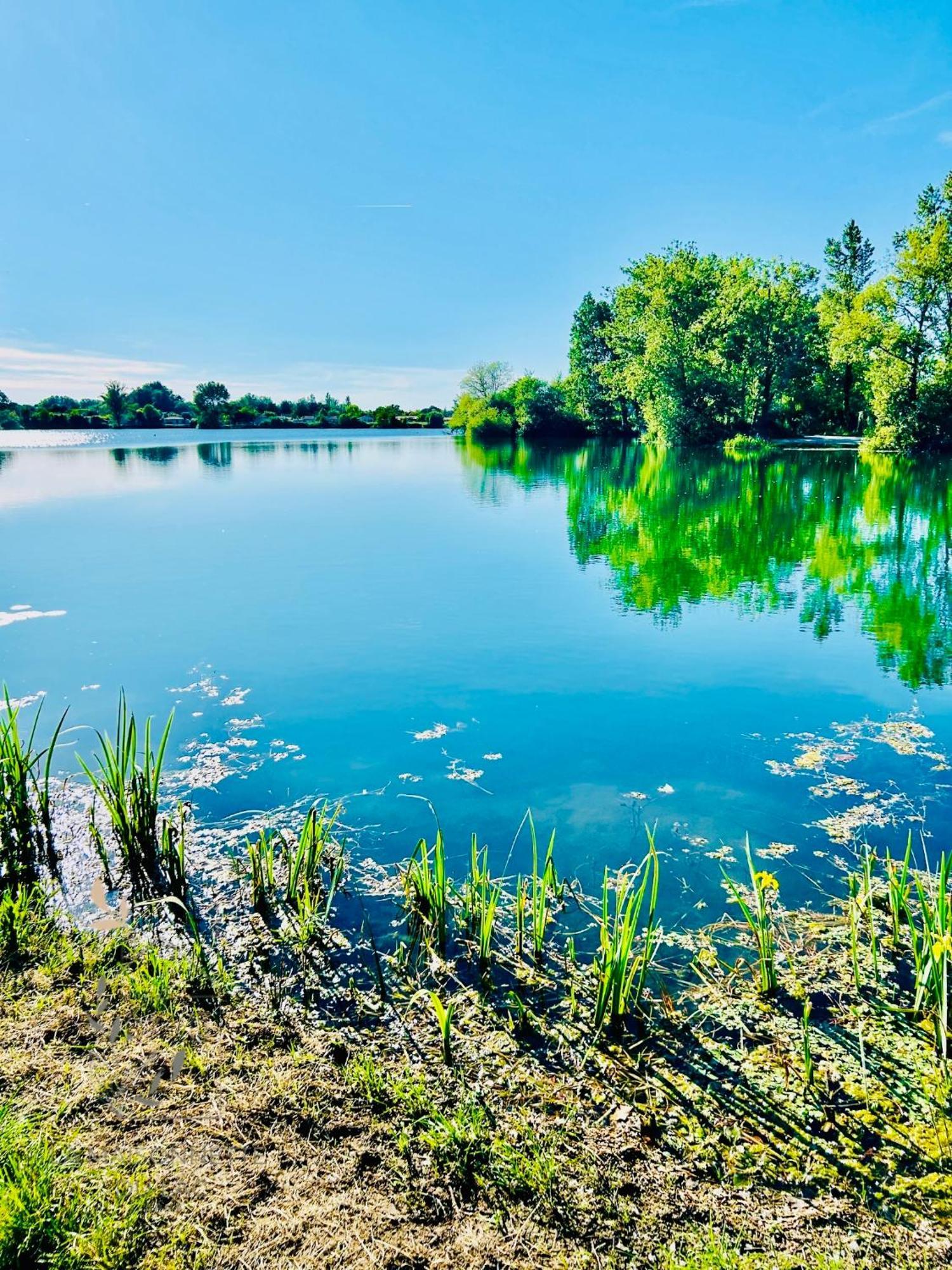 Maison Avec Acces Au Lac Izon Eksteriør billede